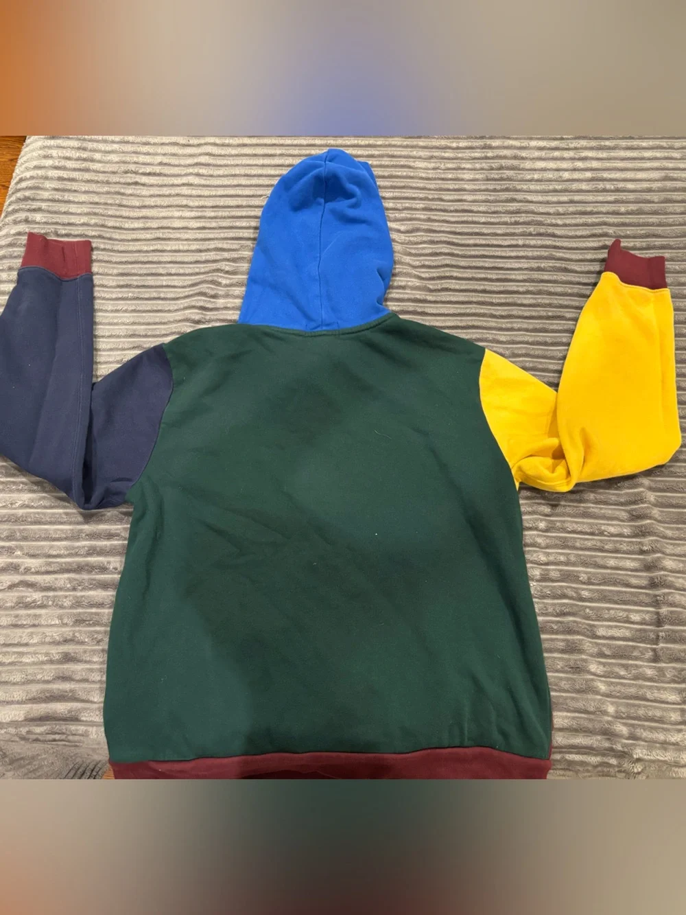 Polo by Ralph Lauren Multicolor hoodie with Bear Graphic